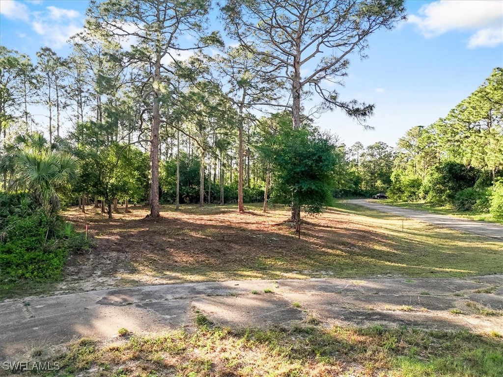 107 Rosemont Place Labelle FL 33935 225031459 image4