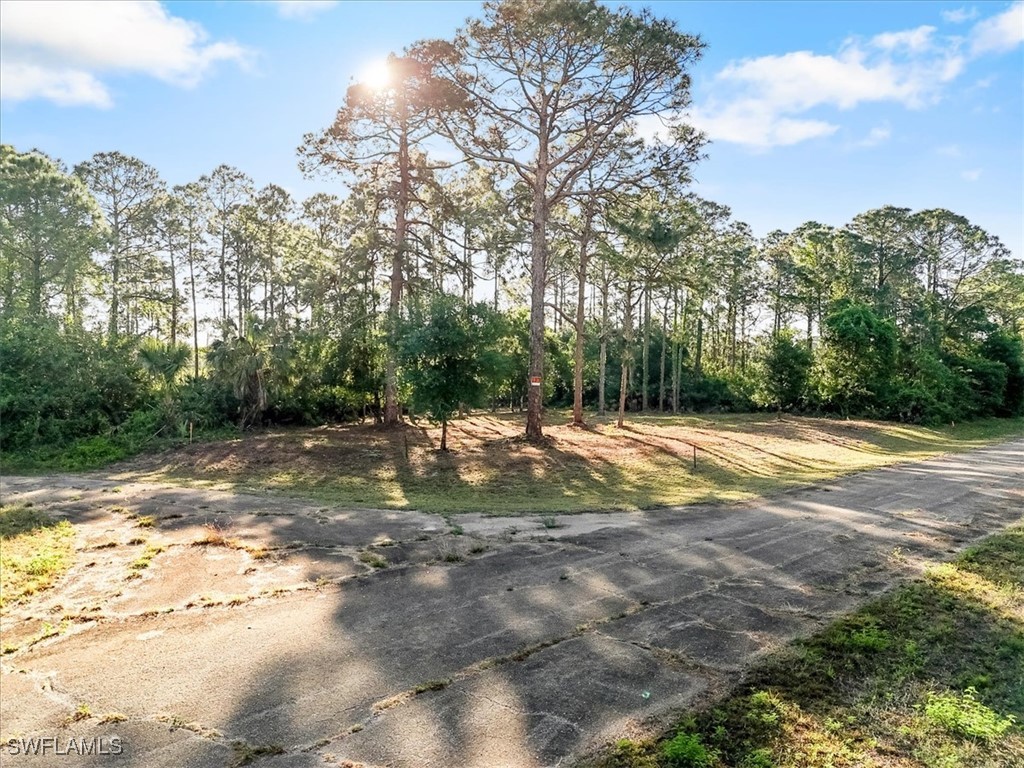 107 Rosemont Place Labelle FL 33935 225031459 image5