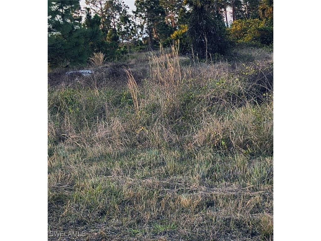 1071 Harwood Avenue S Lehigh Acres FL 33974 224104182 image3