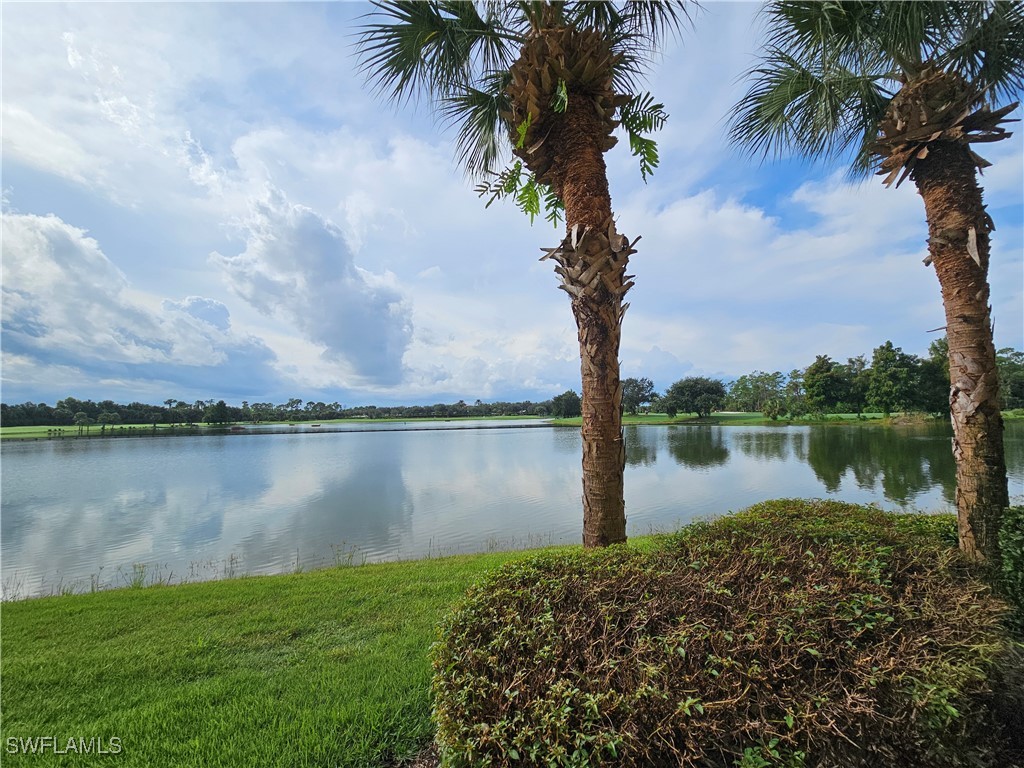 10720 Ravenna Way #101 Fort Myers FL 33913 225034204 image12