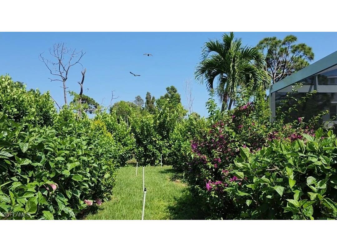 10800 Habitat Circle Bokeelia FL 33922 225017485 image38