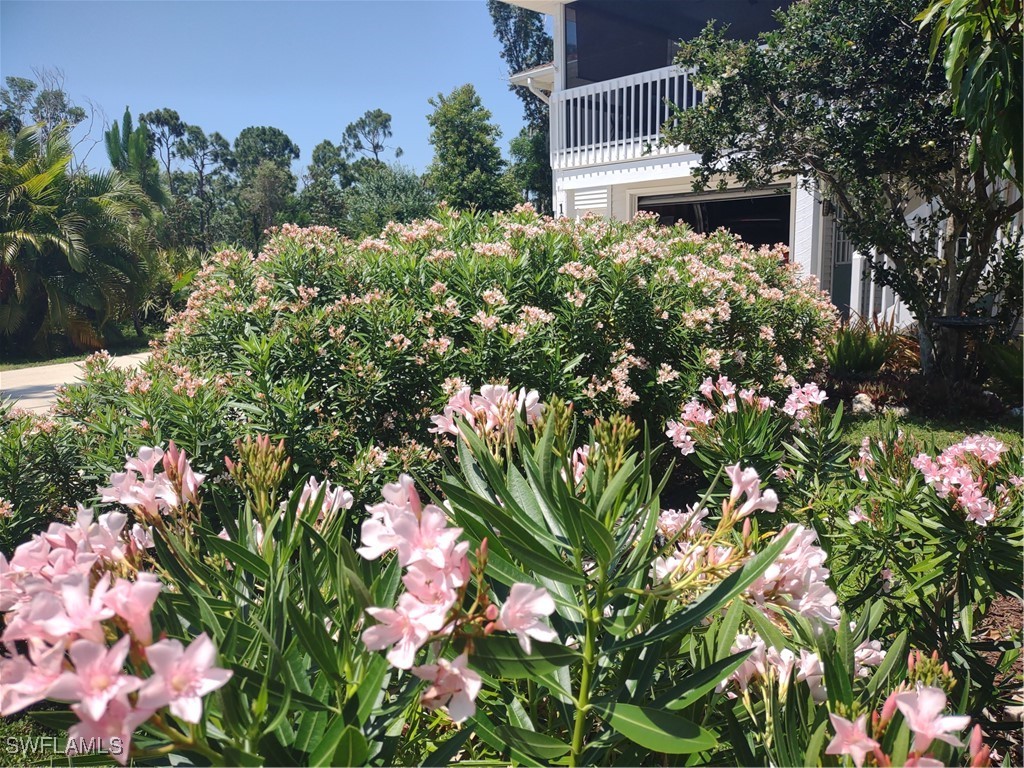 10800 Habitat Circle Bokeelia FL 33922 225017485 image49