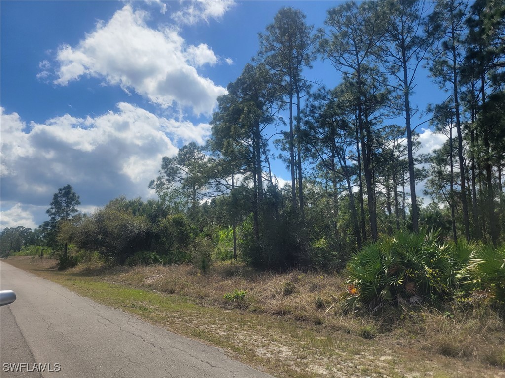 1109 Cleveland Avenue Lehigh Acres FL 33972 225021056 image2