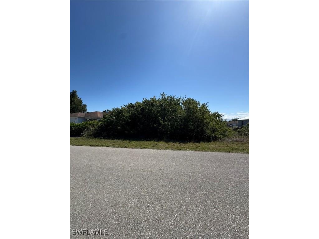 1114 Carl Avenue Lehigh Acres FL 33971 225037118 image1