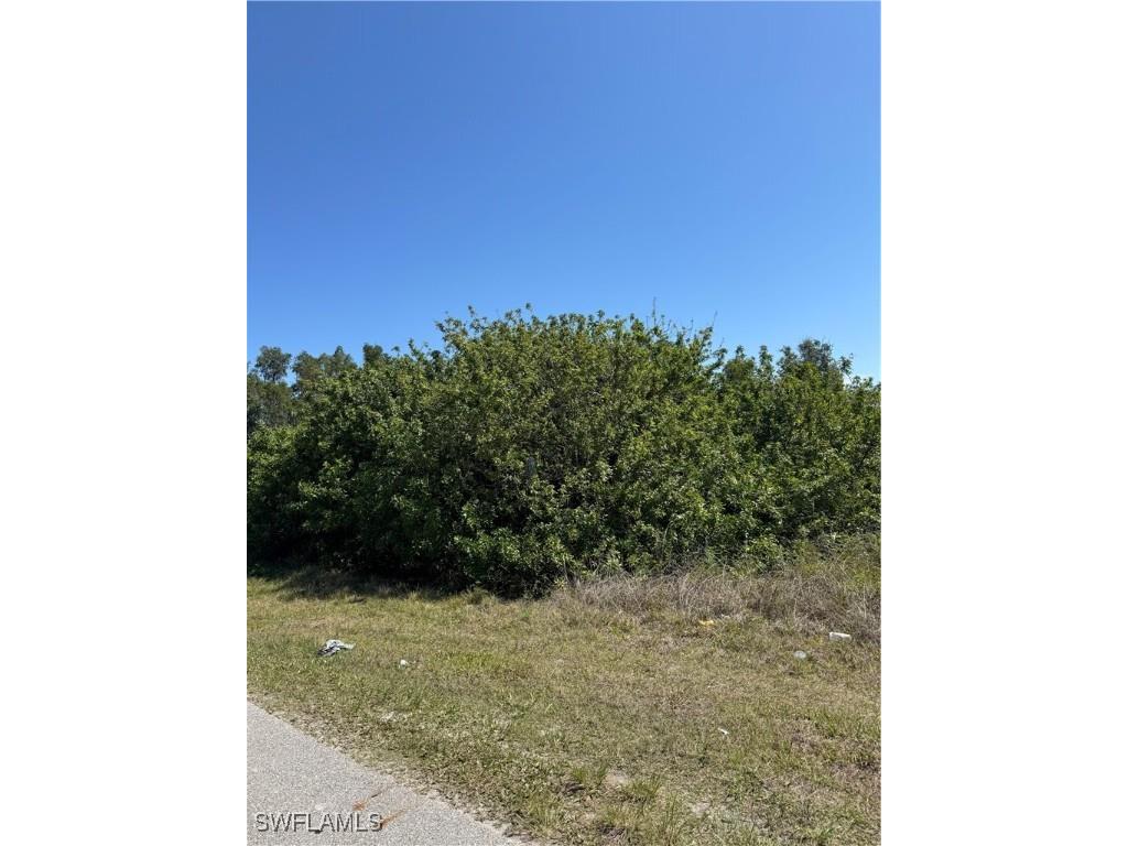 1114 Carl Avenue Lehigh Acres FL 33971 225037118 image2