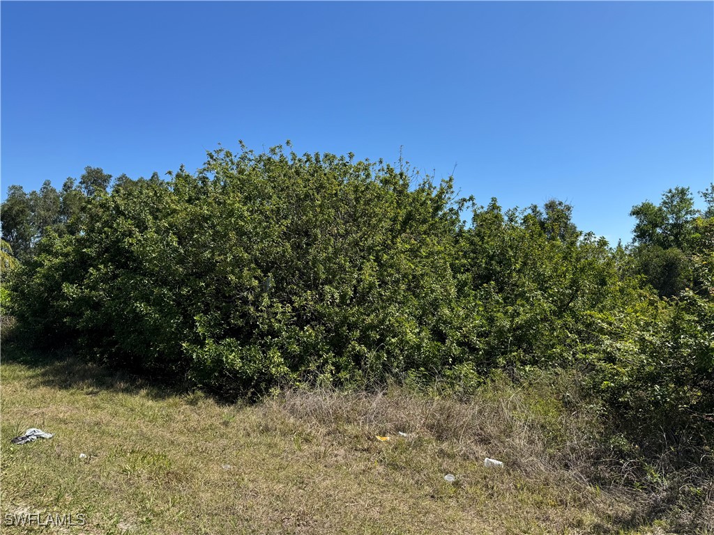 1114 Carl Avenue Lehigh Acres FL 33971 225037118 image3