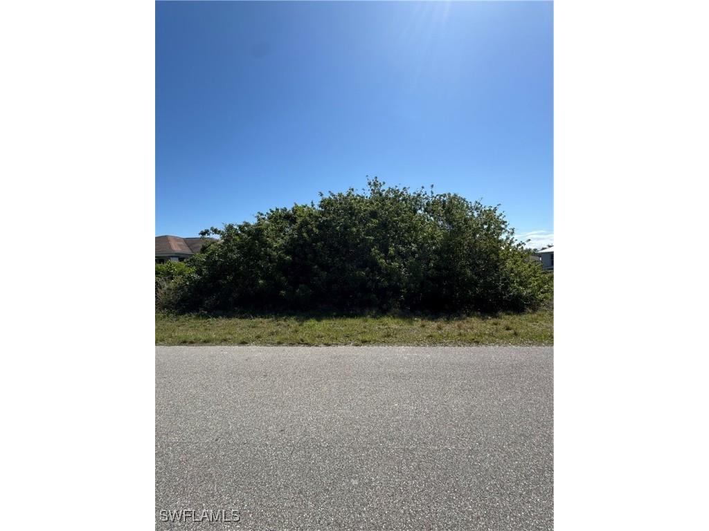 1114 Carl Avenue Lehigh Acres FL 33971 225037118 image4