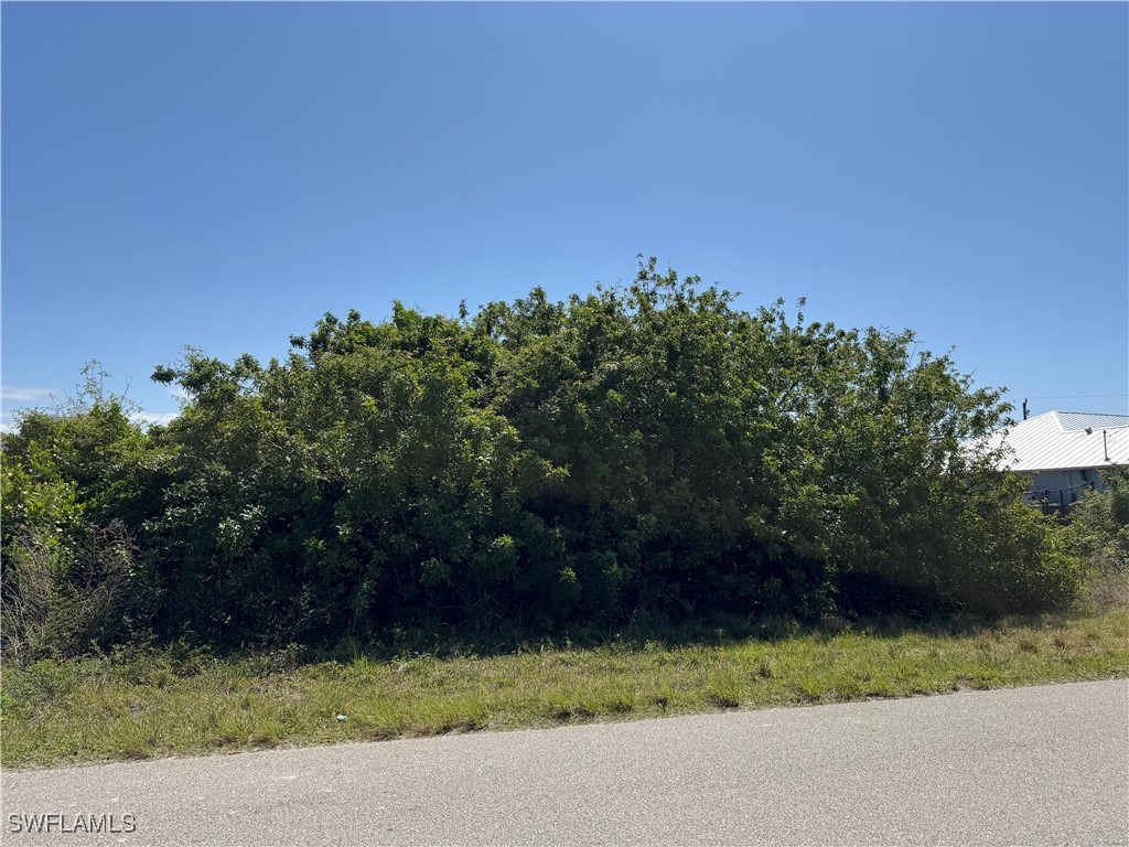 1114 Carl Avenue Lehigh Acres FL 33971 225037118 image6