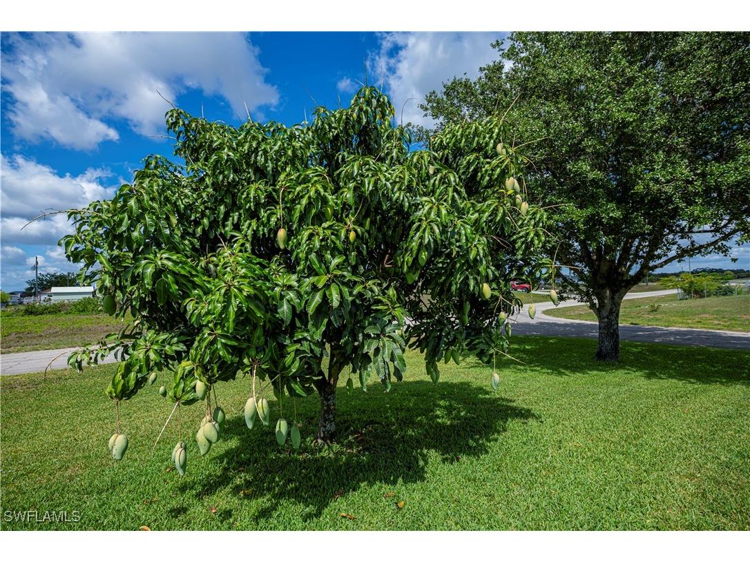 1115 Comet Avenue Labelle FL 33935 225050117 image11