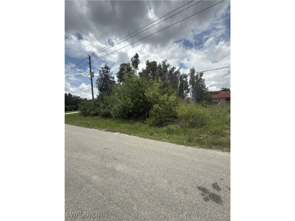 1117 Carl Avenue Lehigh Acres FL 33971 225052822 image3