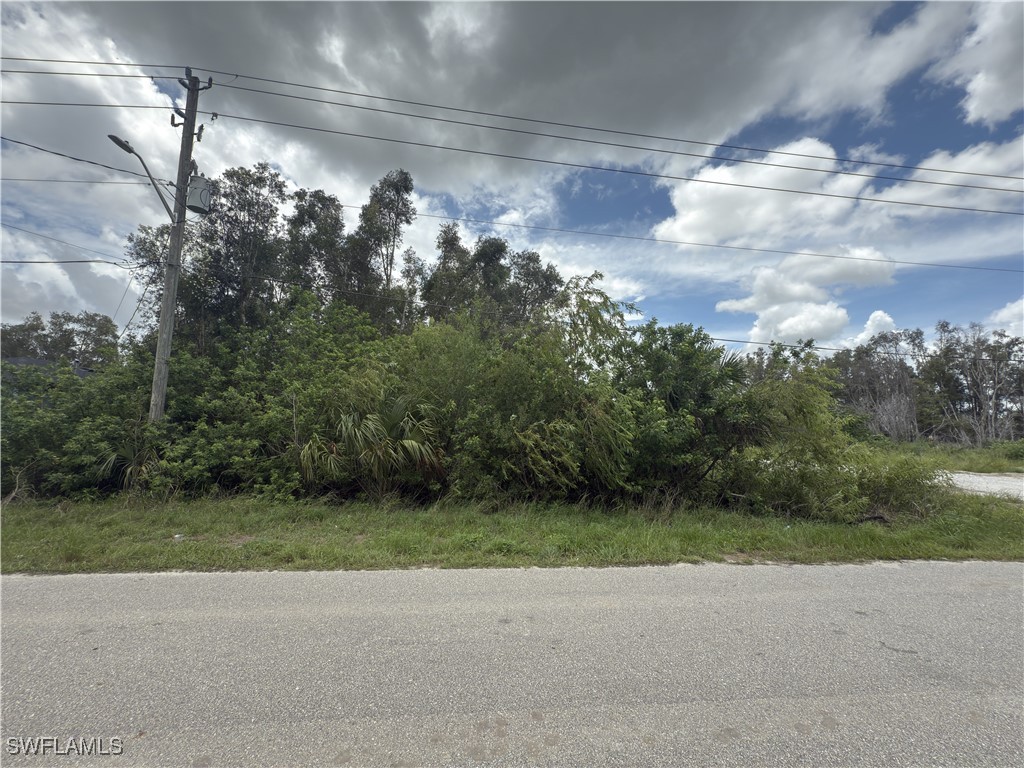 1117 Carl Avenue Lehigh Acres FL 33971 225052822 image4