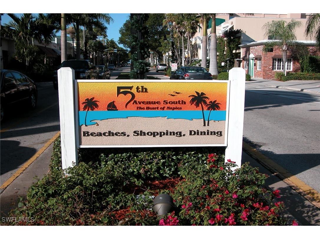 112 Blue Ridge Drive #55 Naples FL 34112 225035875 image31