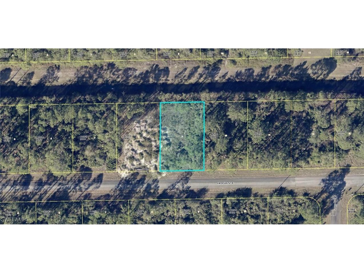 1123 Crocus Street Lehigh Acres FL 33974 225025879 image1