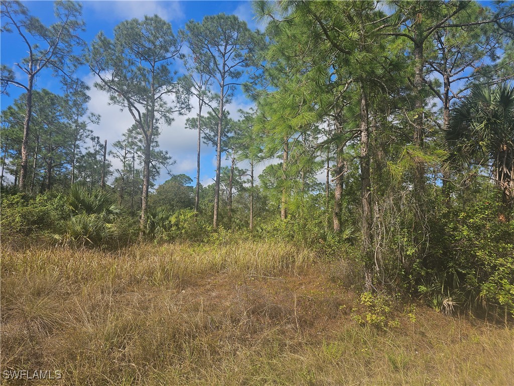 1123 Lincoln Avenue Lehigh Acres FL 33972 225000461 image2