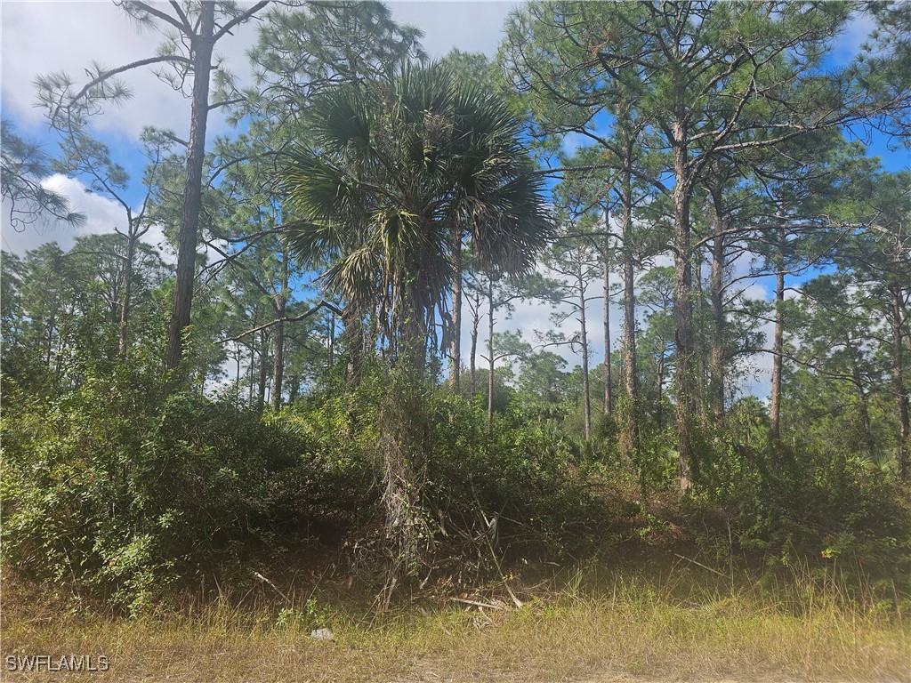 1123 Lincoln Avenue Lehigh Acres FL 33972 225000461 image3