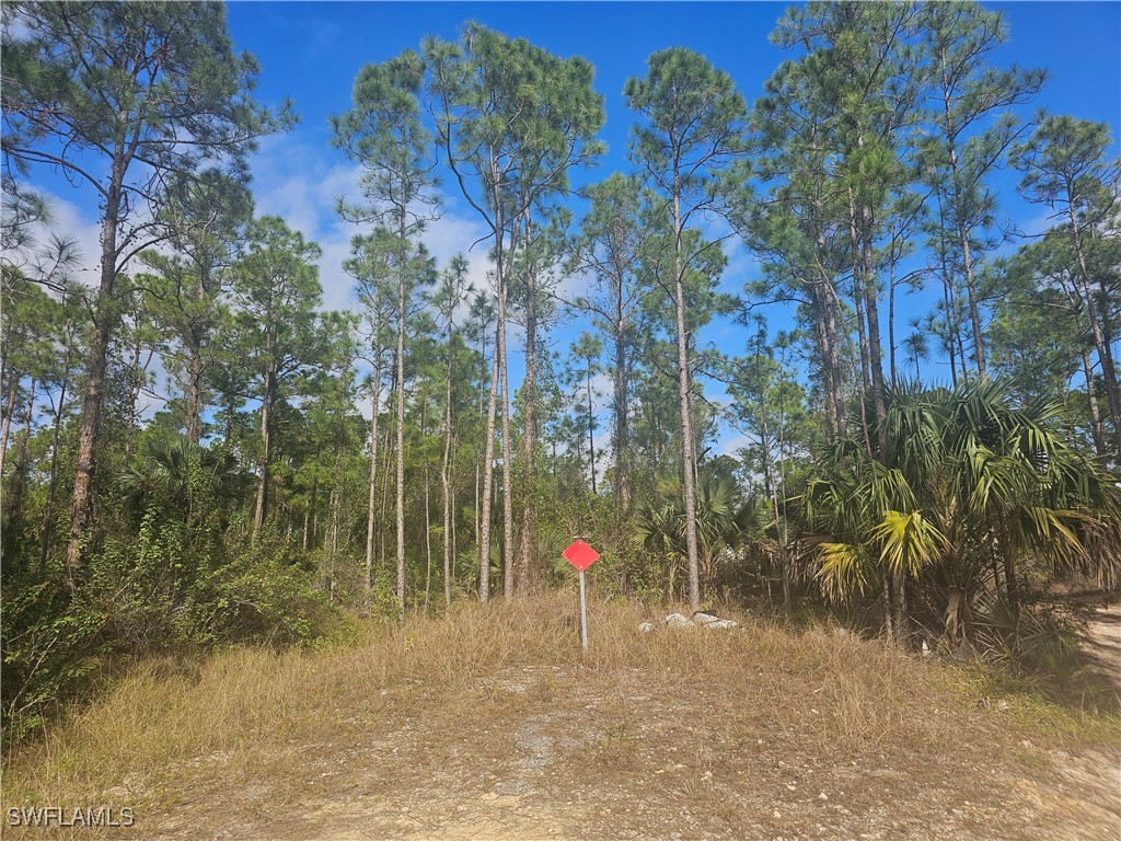 1123 Lincoln Avenue Lehigh Acres FL 33972 225000461 image4