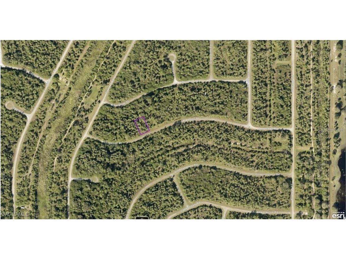 1127226126 Largeleaf Street North Port FL 34288 224093287 image2