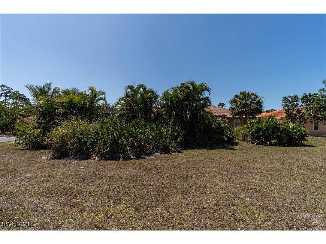 11273 Coimbra Lane Bonita Springs FL 34135 225037447 image10