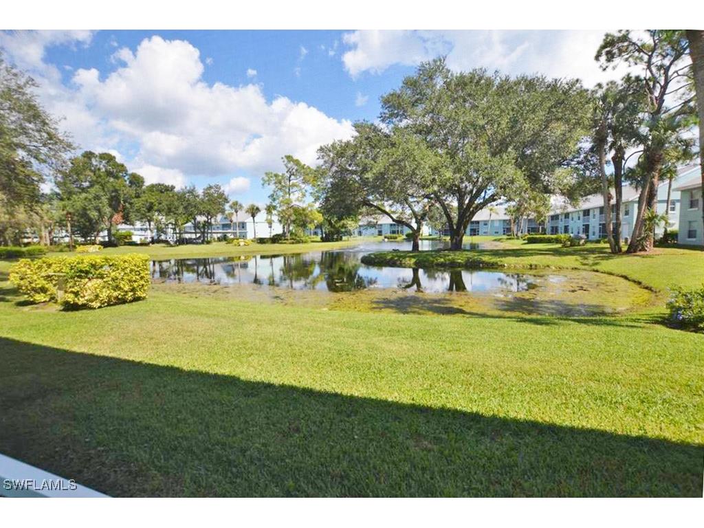 113 Wading Bird Circle #W-102 Naples FL 34110 225043635 image20