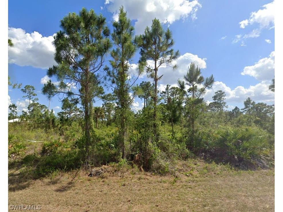 1130 Dutchess Street E Lehigh Acres FL 33974 224016243 image1