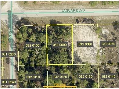 1136 Jaguar Boulevard Lehigh Acres FL 33974 224068945 image1