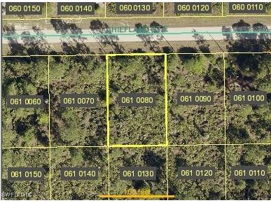 1144 Chiefland Street E Lehigh Acres FL 33974 225006392 image6