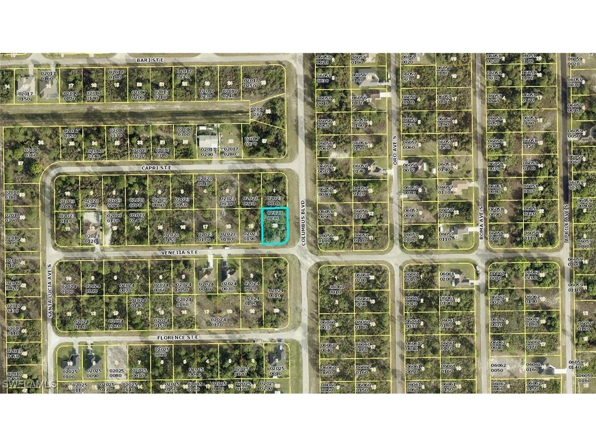 1151 Venetia Street Lehigh Acres FL 33974 225016683 image2