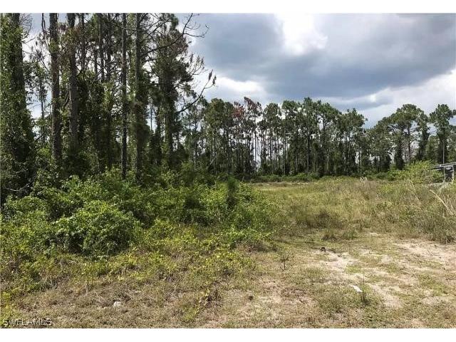 1157 Damen Street E Lehigh Acres FL 33974 224047857 image1