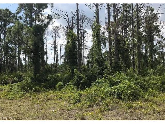 1157 Damen Street E Lehigh Acres FL 33974 224047857 image2