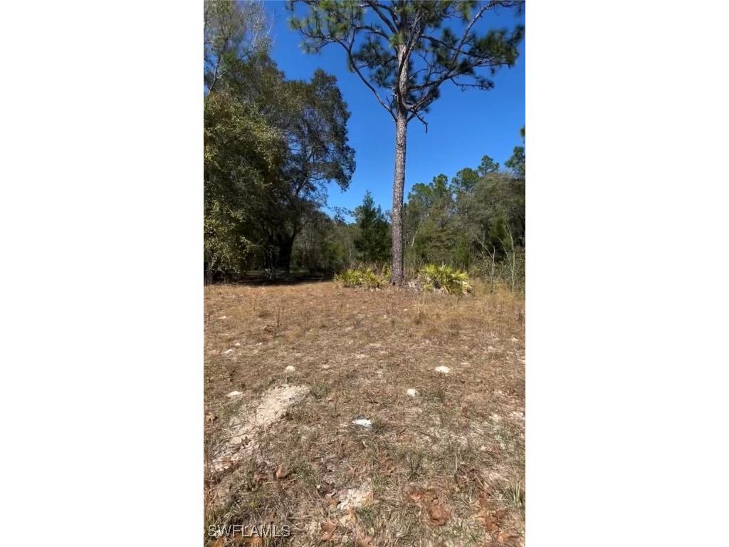 116 Lancaster Street Interlachen FL 32148 225043232 image1