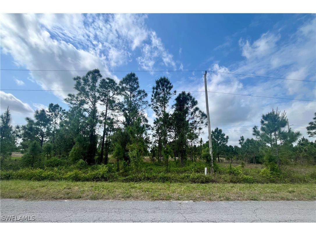 1166 Briarcliffe Street Fort Myers FL 33913 224031157 image4