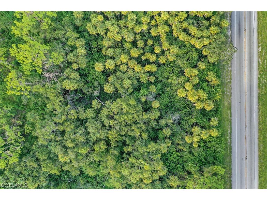 11731 Bayshore Road North Fort Myers FL 33917 223064480 image9