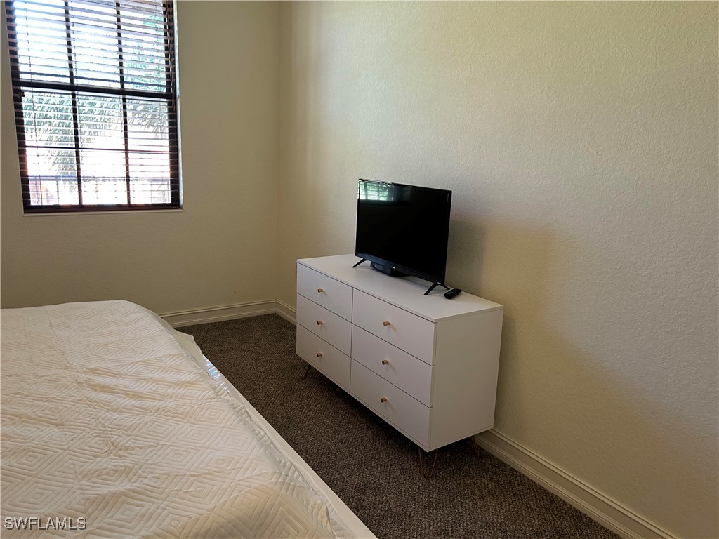 11947 Tulio Way #4002 Fort Myers FL 33912 225050359 image12