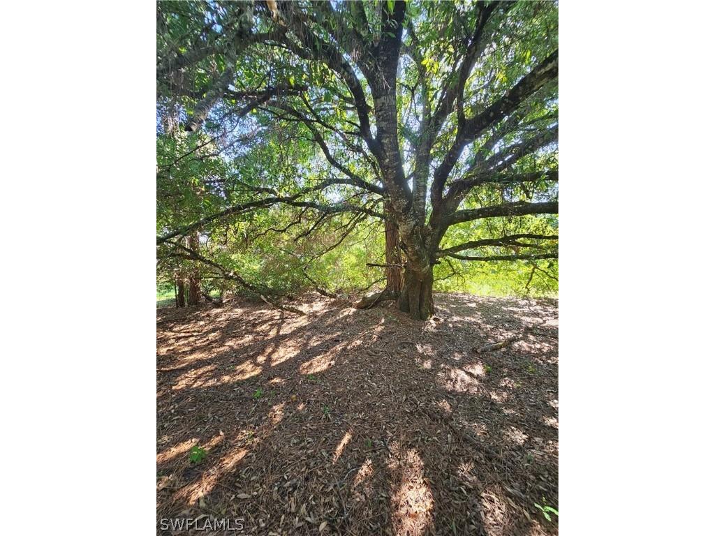 1201 Sweetwater Avenue Clewiston FL 33440 224058801 image29