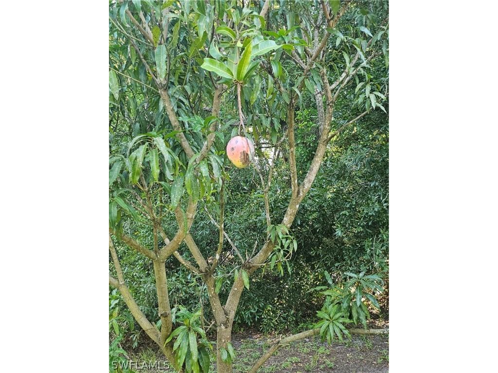 1201 Sweetwater Avenue Clewiston FL 33440 224058801 image32