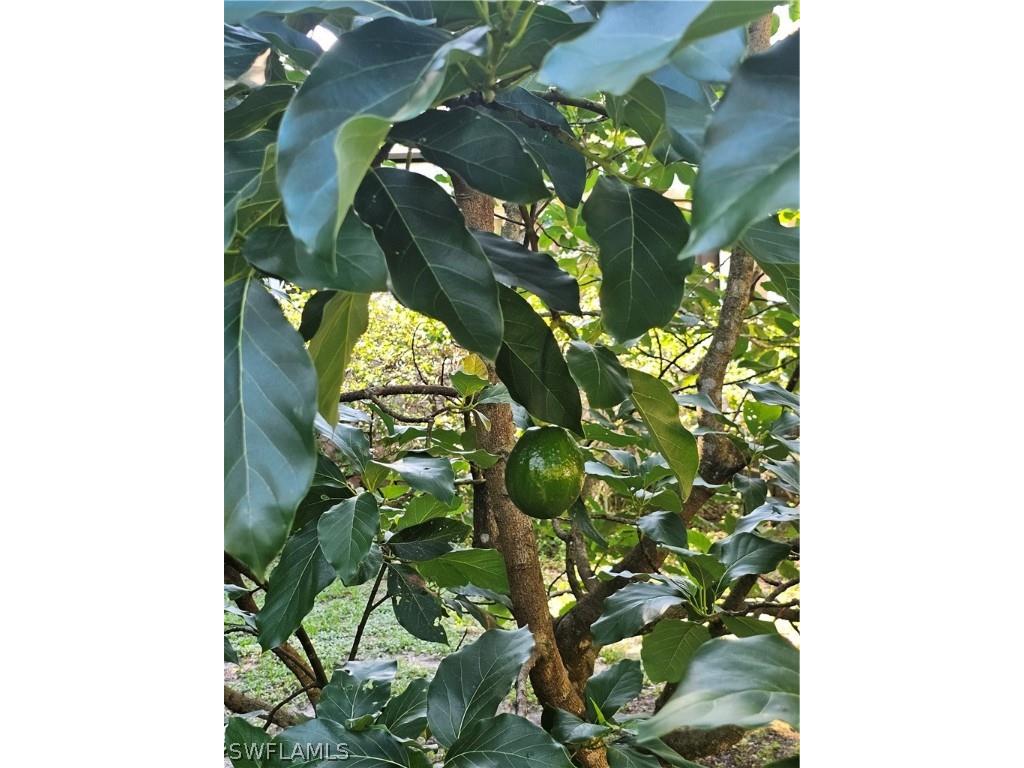 1201 Sweetwater Avenue Clewiston FL 33440 224058801 image33