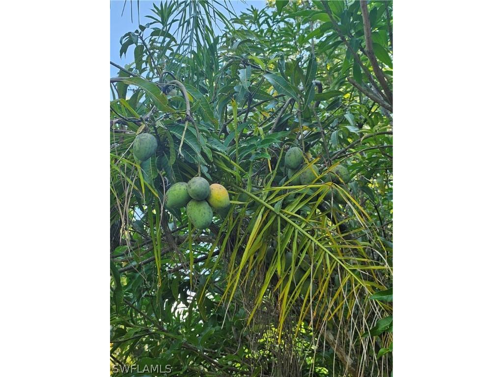 1201 Sweetwater Avenue Clewiston FL 33440 224058801 image34