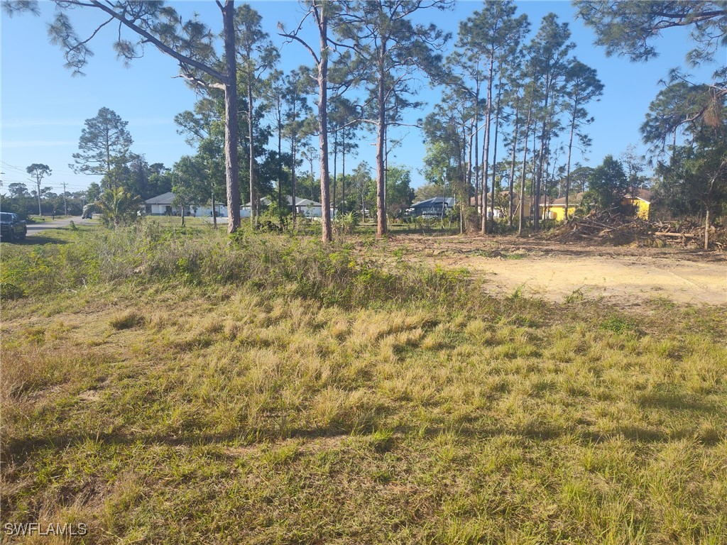 1205 Elaine Avenue N Lehigh Acres FL 33971 225038535 image3