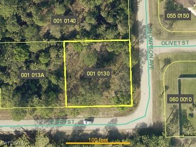 1207 E 8th Street Lehigh Acres FL 33972 225031166 image1