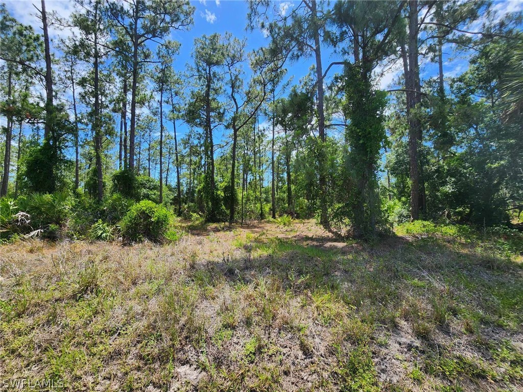 1217 Richmond Avenue N Lehigh Acres FL 33972 224049277 image1