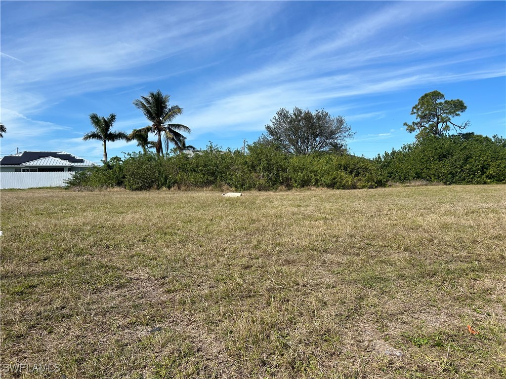 1218 Andalusia Boulevard Cape Coral FL 33909 225010845 image2