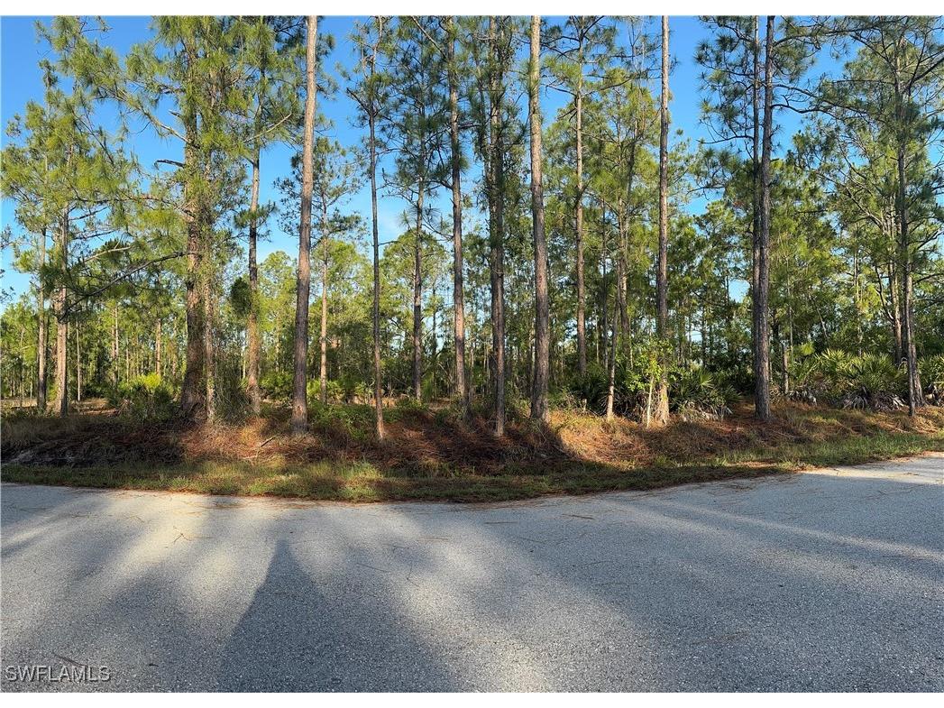 1221 Canton Avenue Lehigh Acres FL 33972 225050522 image1