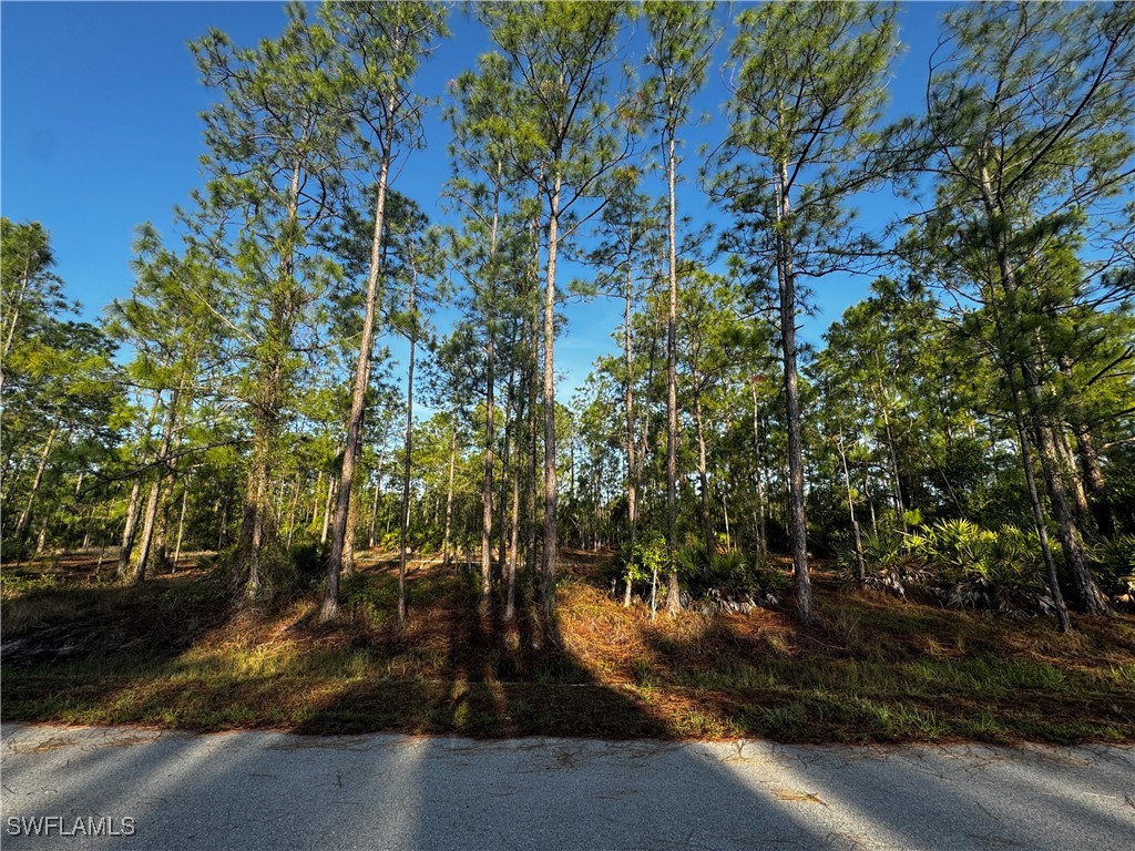 1221 Canton Avenue Lehigh Acres FL 33972 225050522 image2