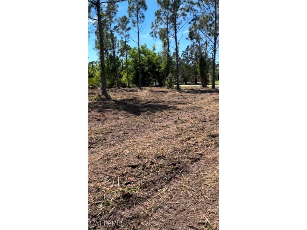 12230 Minnesota Avenue Punta Gorda FL 33955 225021864 image4