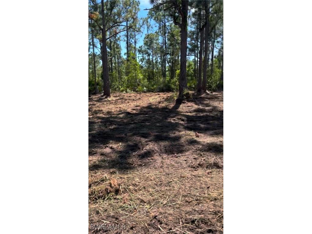 12230 Minnesota Avenue Punta Gorda FL 33955 225021864 image5