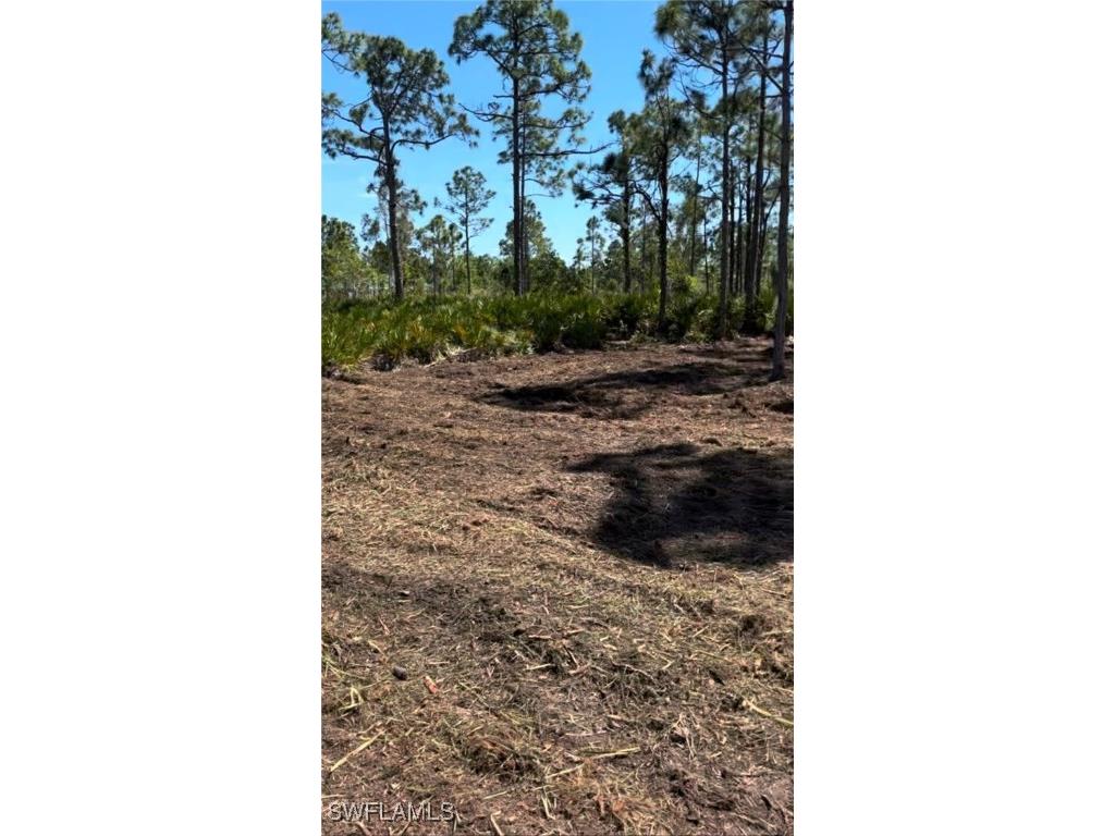 12230 Minnesota Avenue Punta Gorda FL 33955 225021864 image6