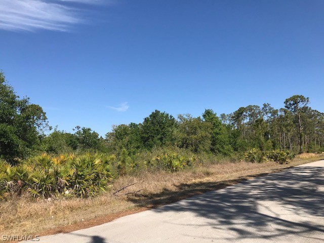 1226 Lincoln Avenue Lehigh Acres FL 33972 224048286 image2