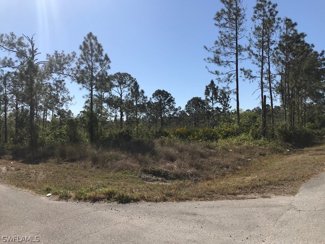 1226 Lincoln Avenue Lehigh Acres FL 33972 224048286 image4