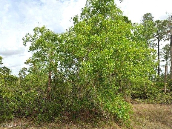 1247 Edna Street E Lehigh Acres FL 33974 225052159 image1