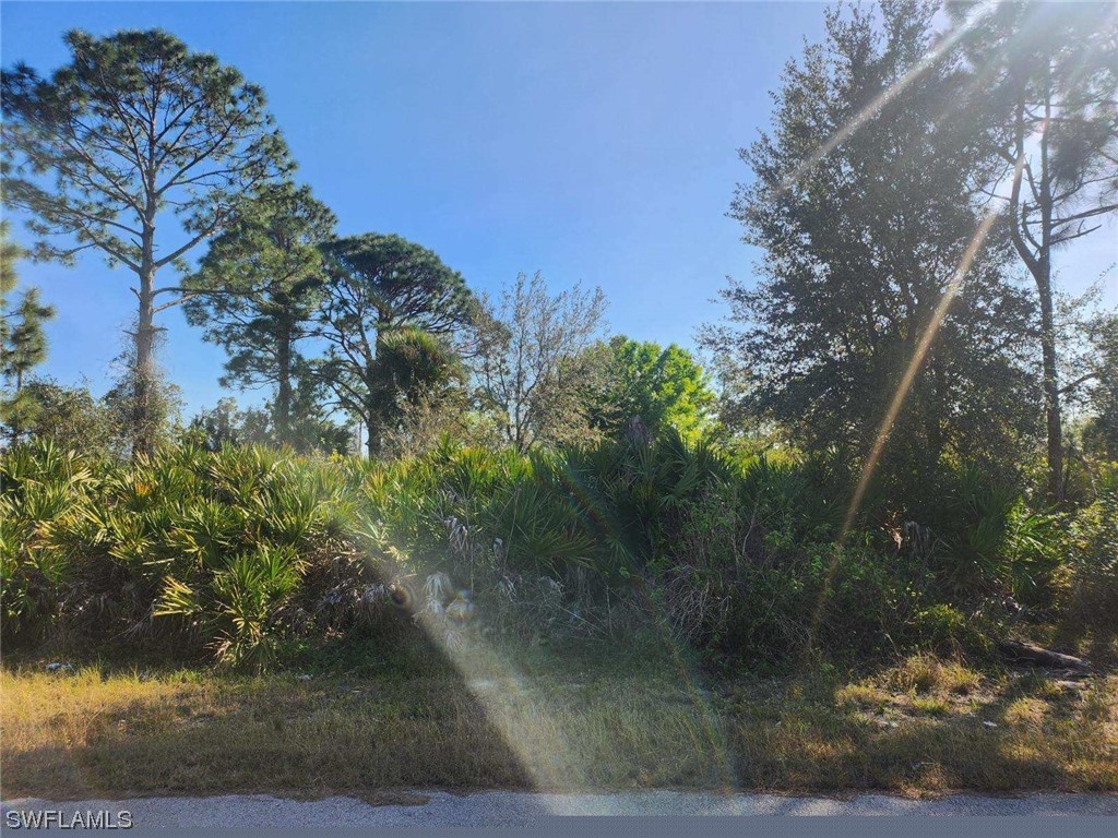 1252 Echo Street E Lehigh Acres FL 33974 224012602 image3